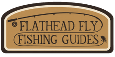 flathead fly fishing guides 