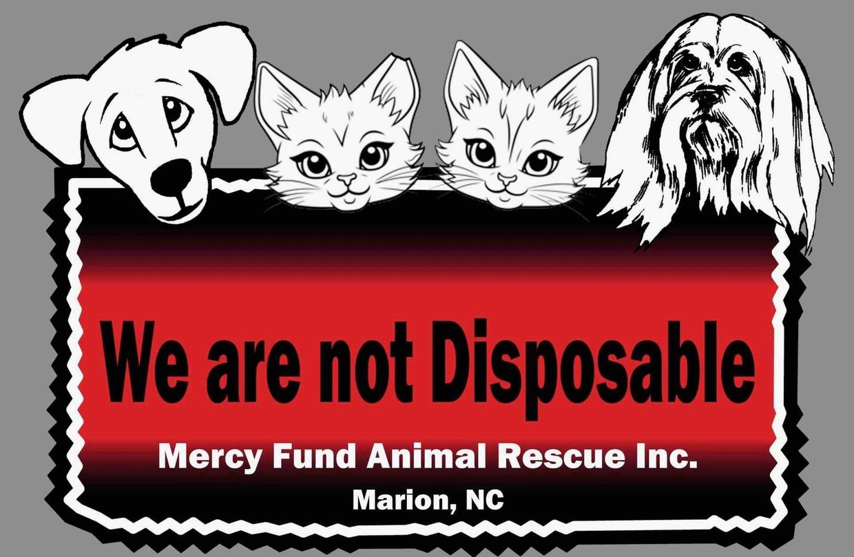 Animal Rescue  Mercy Fund Animal Rescue, Inc.