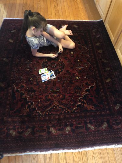 carpet stain removal, pet urine cleaning, odor eliminating, rug restoration, area rug cleaning near 