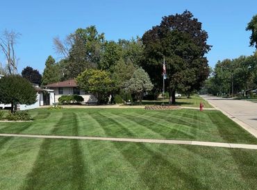Professionally mowed lawn.