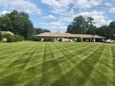 Freshly cut yard.