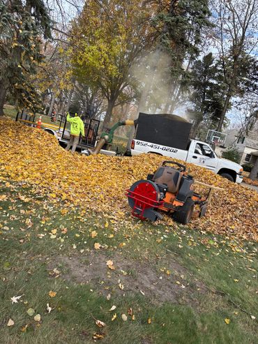 One of our larger leaf cleanup projects for a customer with lots of trees.