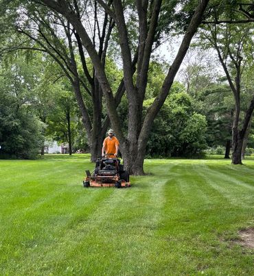 Employee mowing a lawn.