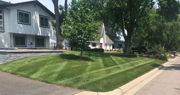 Another freshly cut yard.
