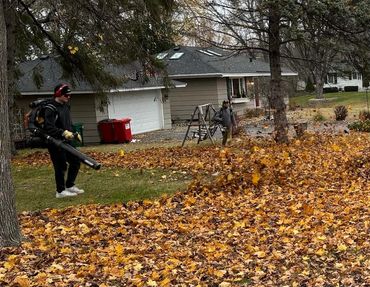 Blowing large piles of leaves to the truck to be removed.