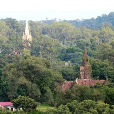 Two church steeples among dense green forest.