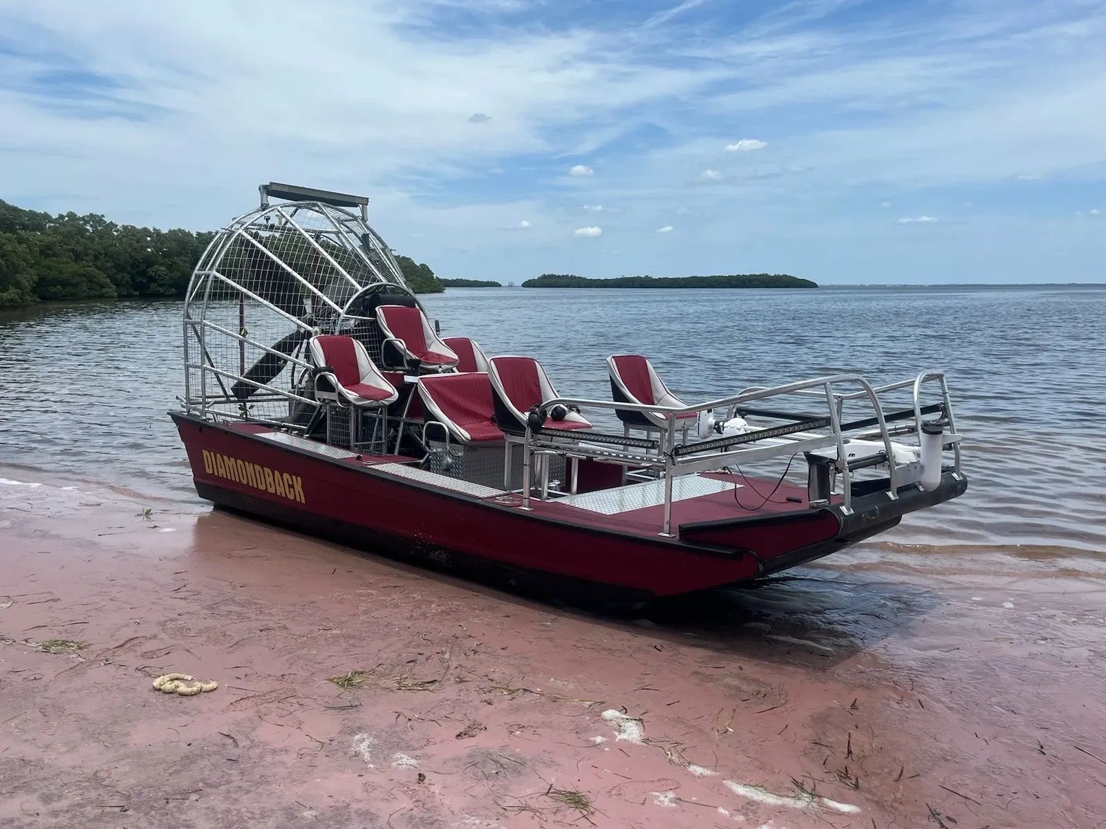 Big Al's Airboat