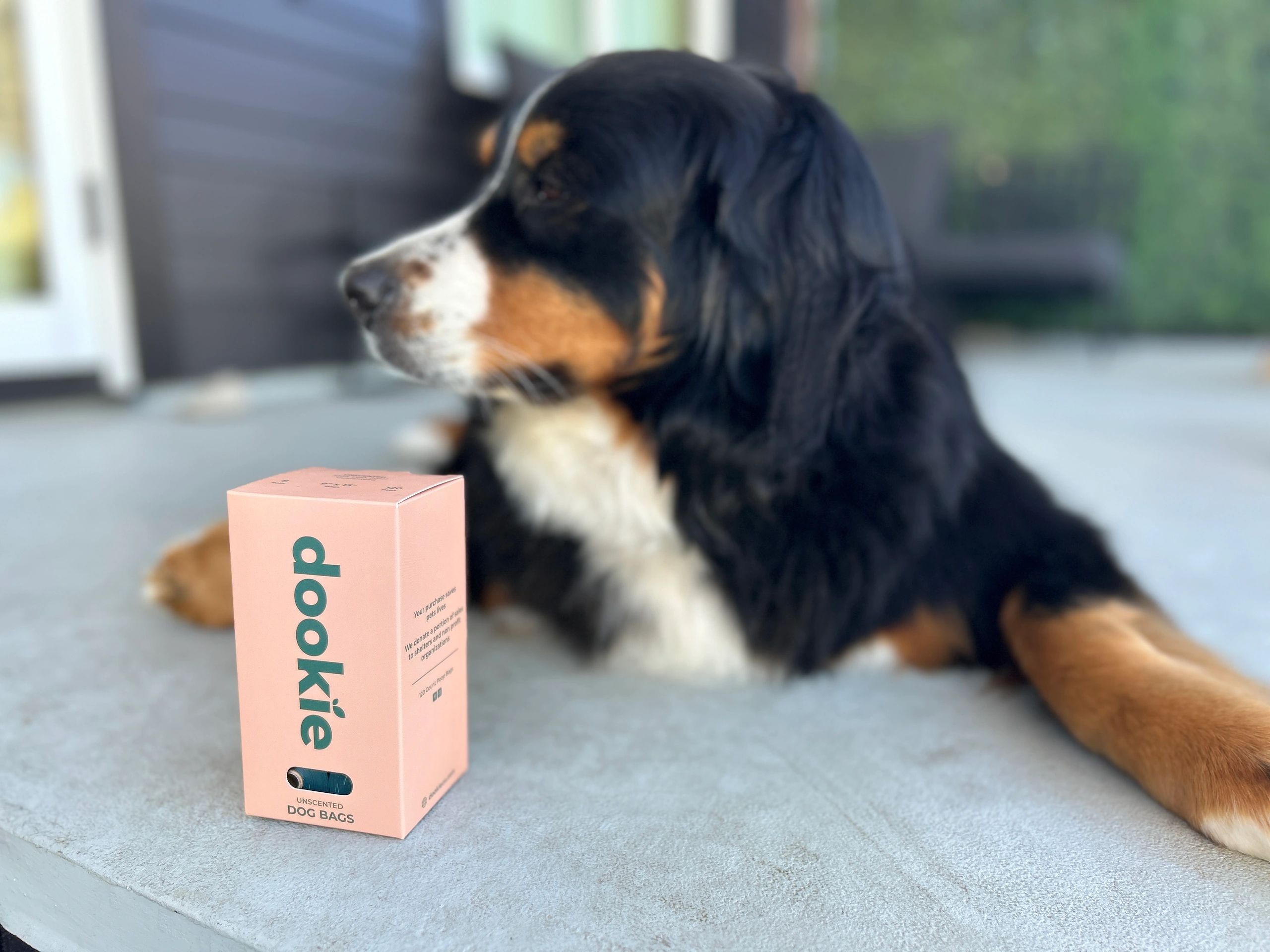 dookieco.com