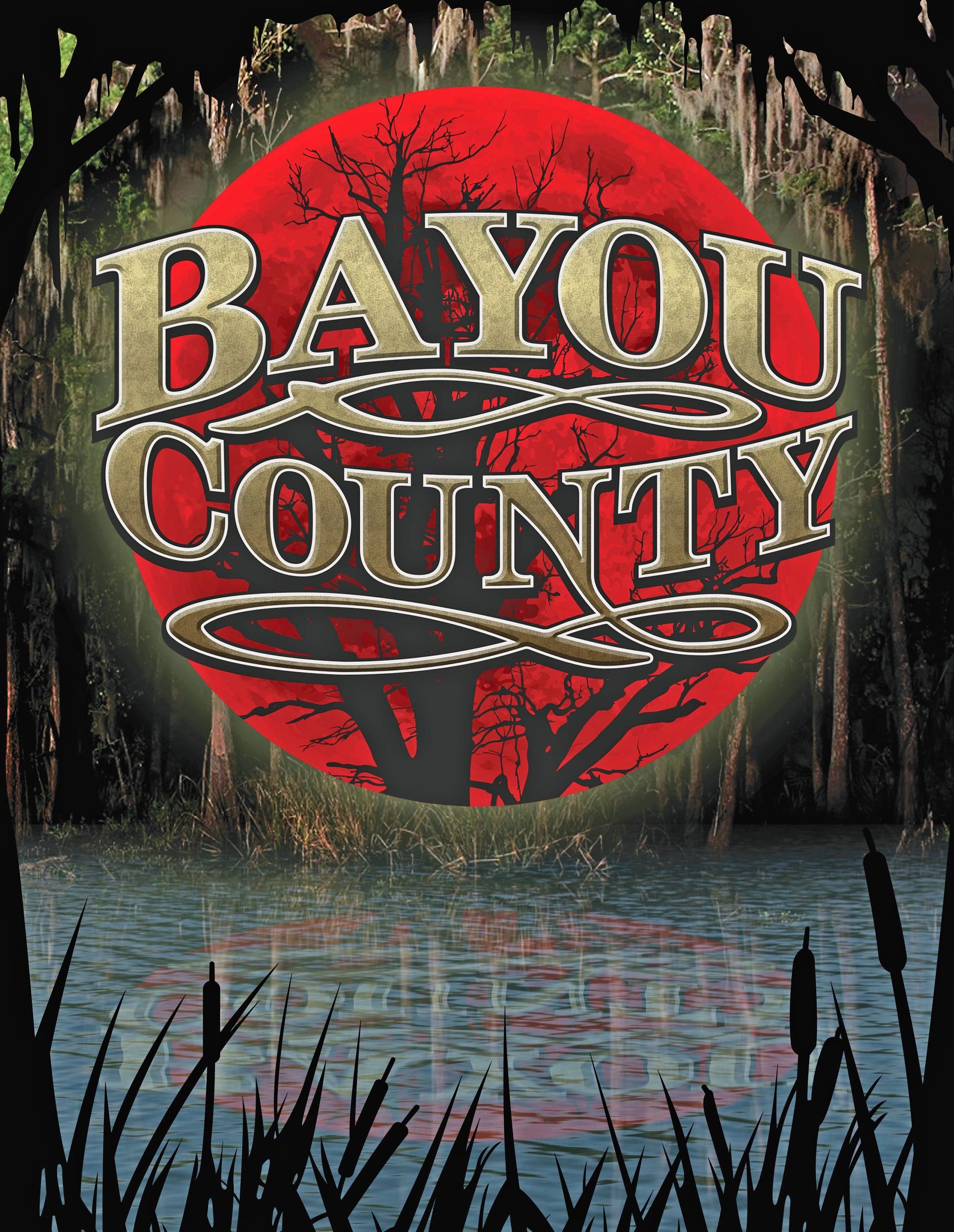 Hall County Media Reports - m0vqpli
