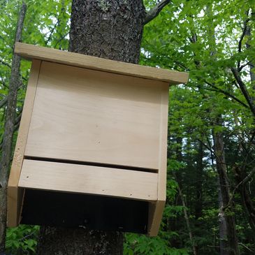 bats raccoon squirrel opossum wildlife animal rodent mice exclusion trapping repair groundhog 