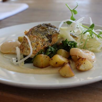 Fish meal on plate