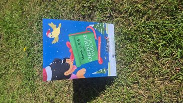 A festive Christmas book titled 'Marvie &amp; Bob Christmas Parcel' on grass.