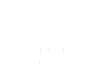 SkinLuxx