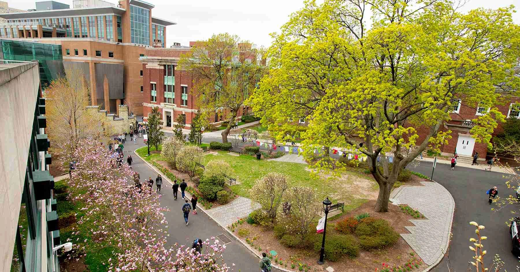 New jersey institute of technology. "edwin defensor"+"western institute of technology". Stevens institute of technology сша. Стивенс-пойнт. Принстон город.