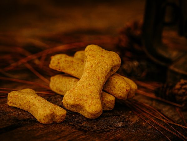 Bone‑shaped chicken broth treats on rustic wood with pine needles, with a natural, outdoorsy feel.