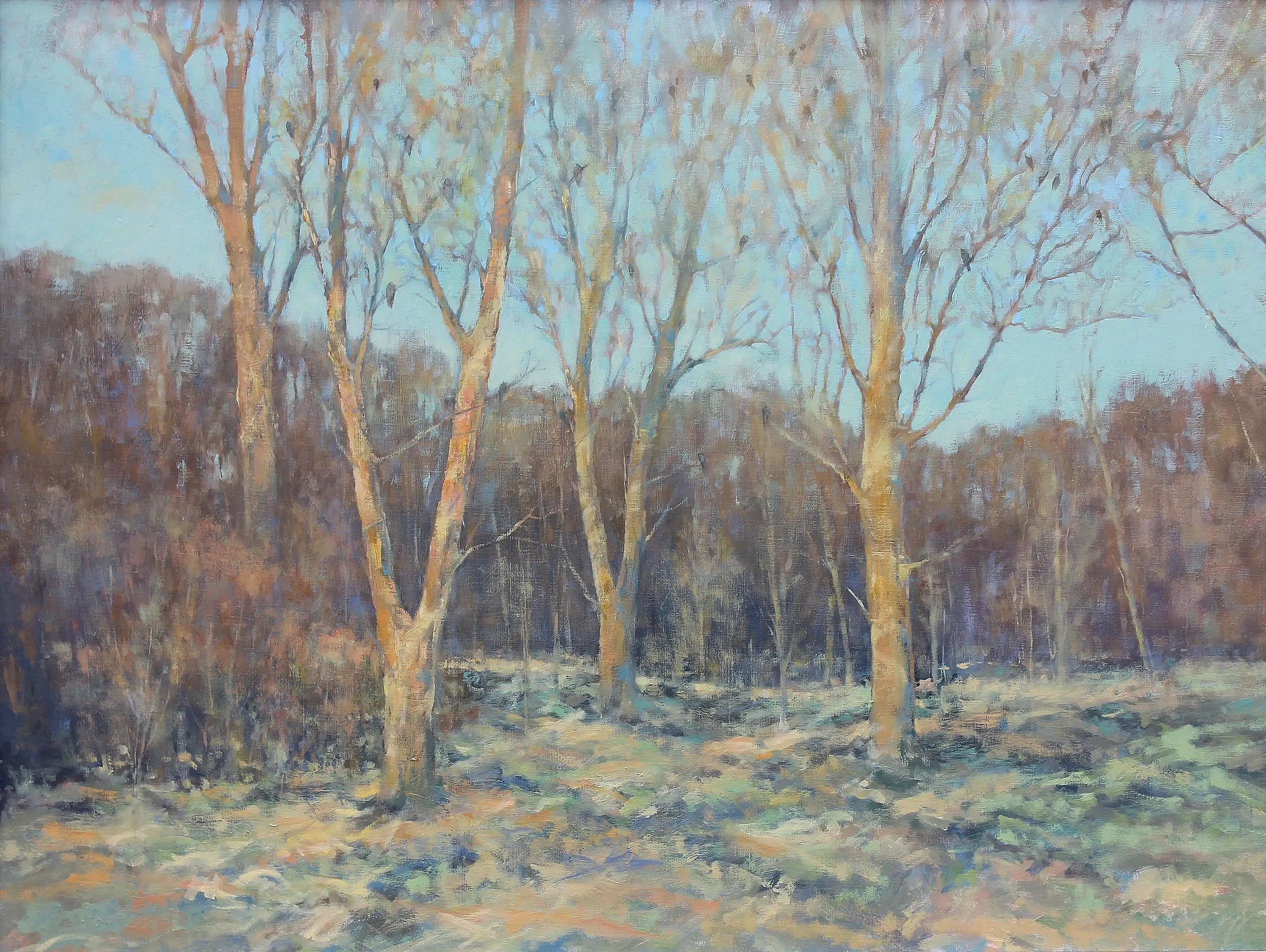 Autumn scene, bare trees and sunlight