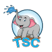 the surface cleaners, llc.
