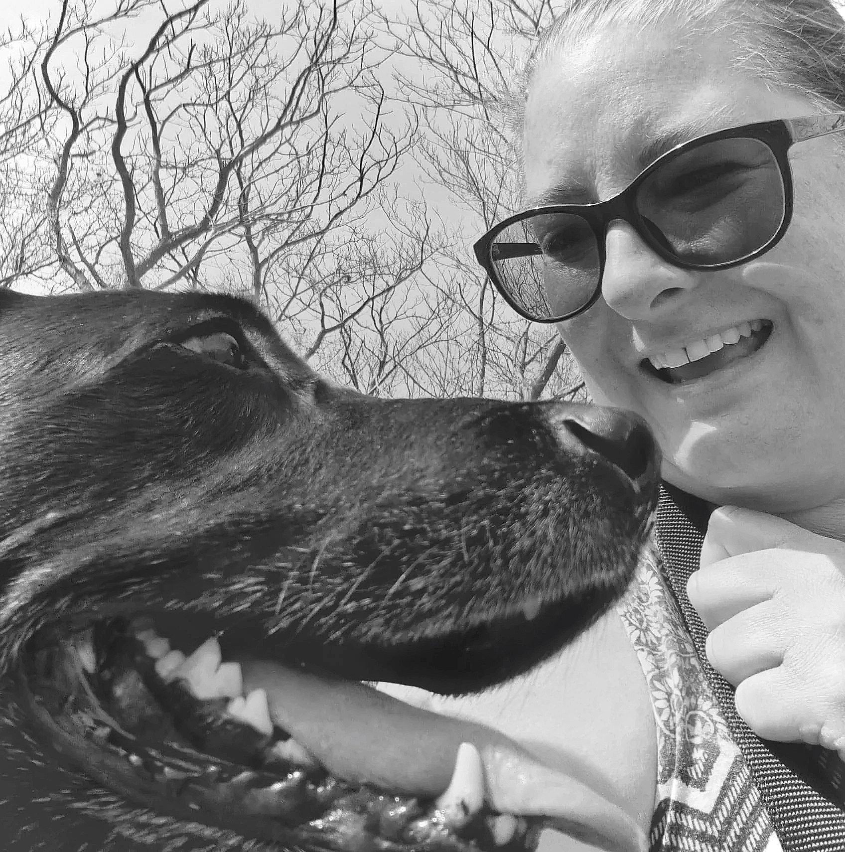 Home From Home Dog Boarding Dishys K9 Care & Train