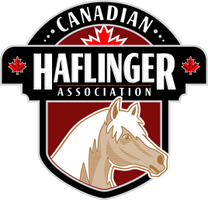 Canadian Haflinger Association