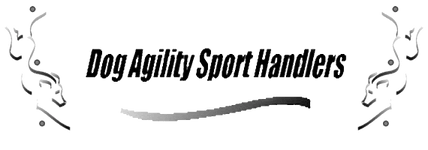 Dog Agility Sport Handlers