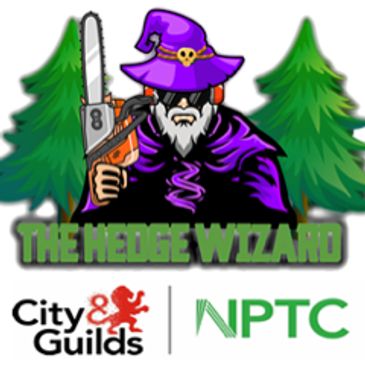 The Hedge Wizard NPTC Certified Tree Surgeons in Leeds