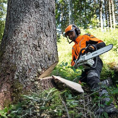 Tree removal Leeds, West Yorkshire