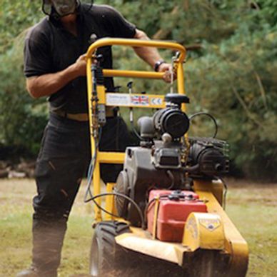 Tree stump grinding and tree stump removal in Leeds