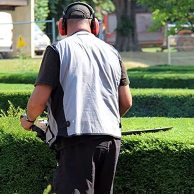 Hedge Cutting and Hedge Pruning in Leeds