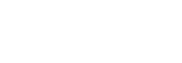 Palmetto Dent Repair