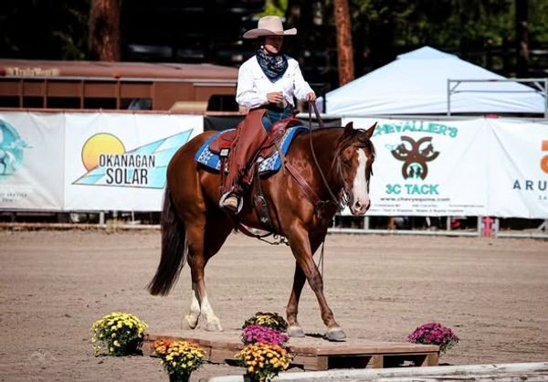 Person riding horse over wooden platform in a competition.