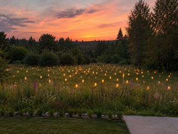 A field with glowing lanterns at sunset surrounded by trees.