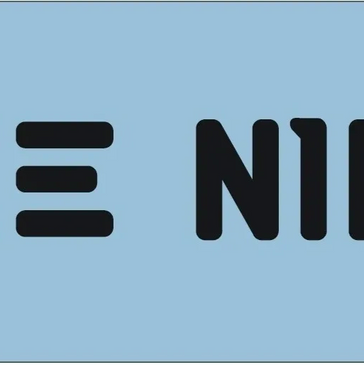 Stylized black text "THE NIKS" on a light blue background.