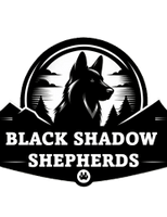 Black Shadow Shepherds
