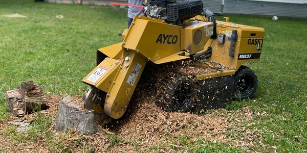 Man operating a stump grinder in a backyard near a white house.