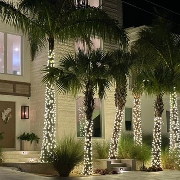 Palm tree lighting wrapped patio bistro lights Christmas tree roof decorate affordable estimate