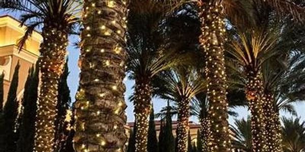 Christmas lights installed on palm tree in Florida Keys Key West Marathon