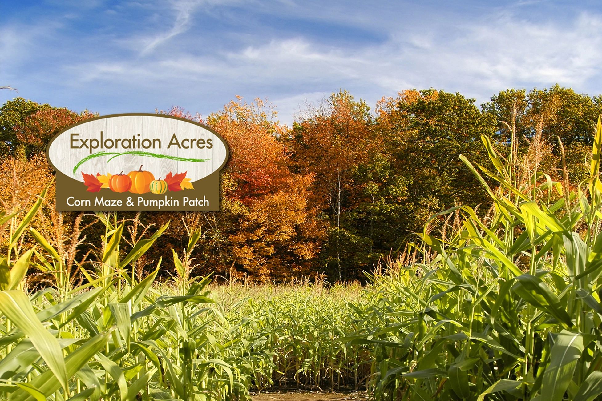 Corn Maze And Pumpkin Patch Exploration Acres