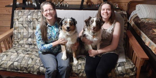 Wgi Aussies Aussie Puppy Australian Shepherd Breeder