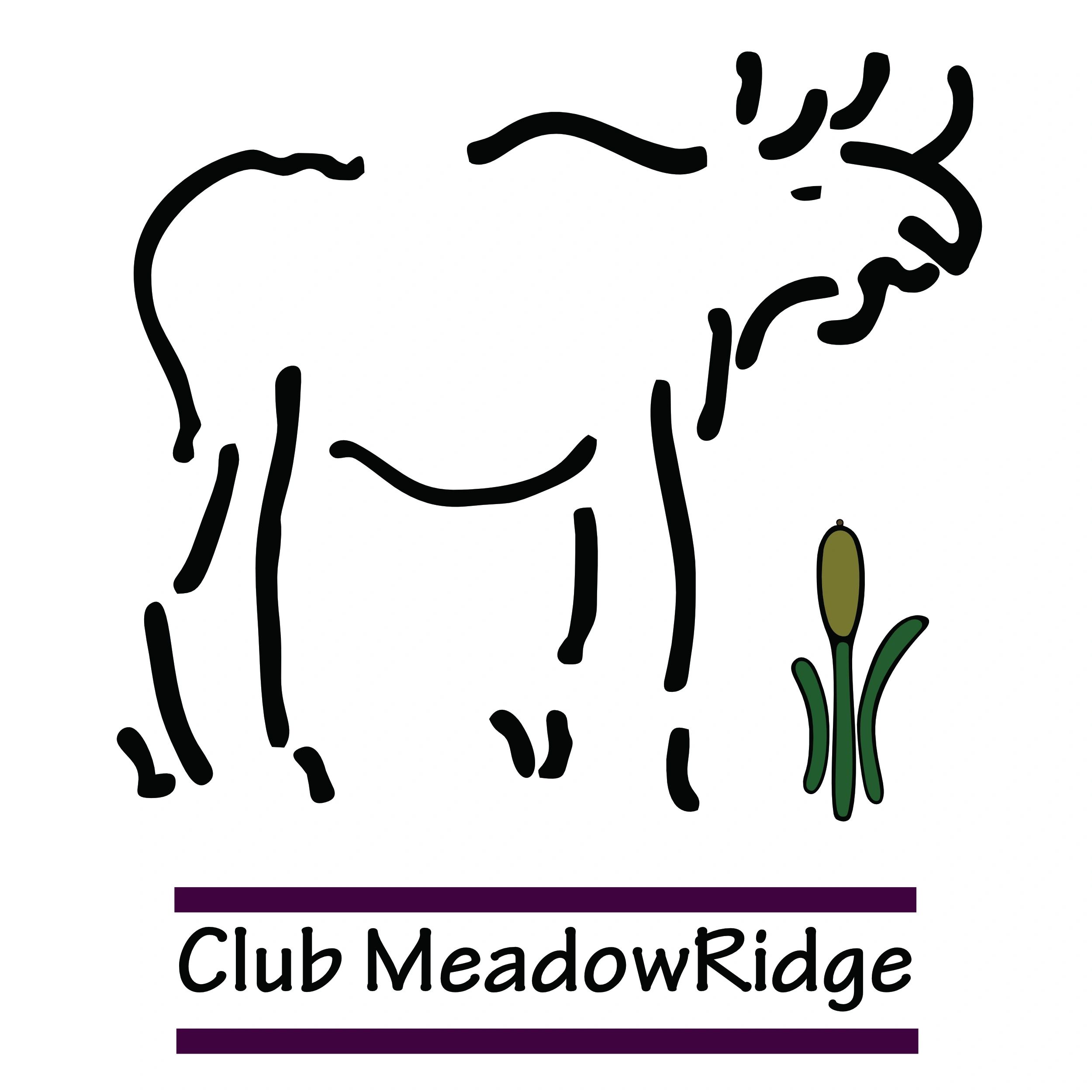 MeadowRidge Resort