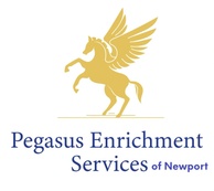 Pegasus Enrichment Services