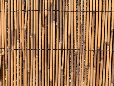 Carbonized Reed Fence