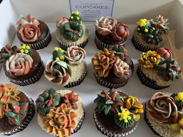 Succulent cupcakes, low calories, low calorie desserts, Singapore cupcakes, Singapore desserts, heal