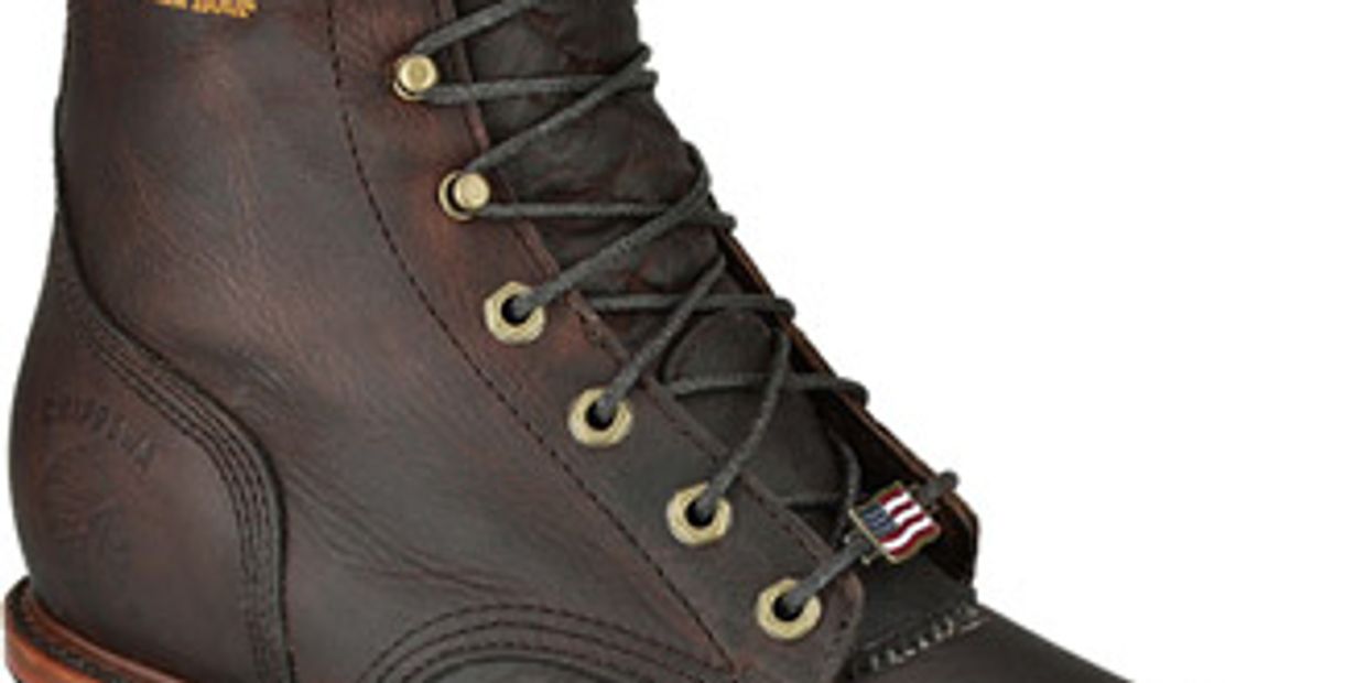 chippewa 25420