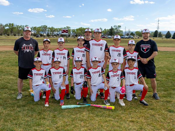 Youth baseball team posing with coaches on a sunny field.