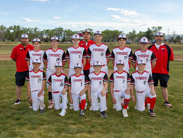 Youth baseball team posing on grass field with coaches.
