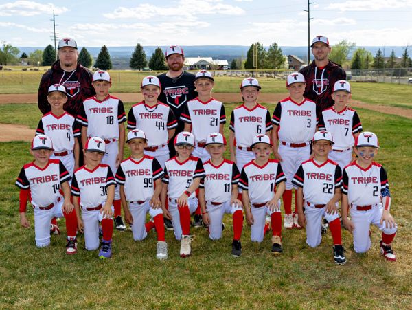 Youth baseball team posing on the field with coaches behind them.