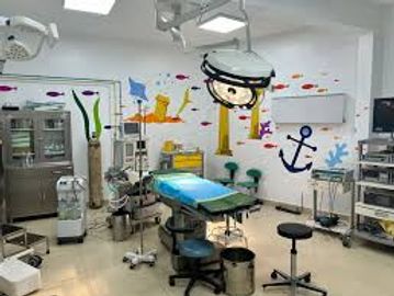 Shepherd medical centre boasts of the best paediatric surgeons in Nigeria, to provide quality paedia