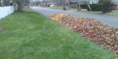 Columbia tennessee leaf removal service, with Rightcare-lawncare 