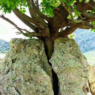 Power of nature