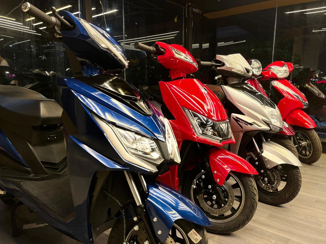 Multi Brand EV Sales, Service and Rental Point